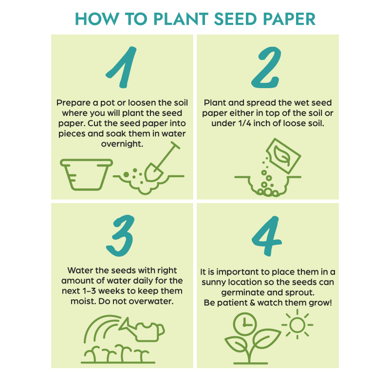 Positivity Seed Packet | One-Sided | Plantable & Eco-Friendly Promotional  Item