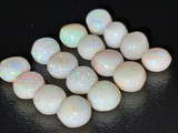 Multicolour Australian Coober Pedy Milky Opal 16 Pc 12.70 Carat