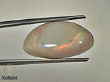 Opal 21.60 Carat