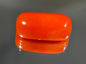 Red Coral 7.10 Carat Red Coral 7.10 Carat