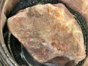 Australian Andamooka Matrix Rough Opal 585 Carat