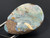 Boulder Opal Pendant 19.35 Carat