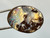 Boulder  Opal Pendant 19.30 Carat