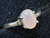 OPAL RING 13.41 CARAT