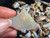 AUSTRALIAN OPAL UNCUT 770 CARAT