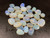 MULTICOLOUR AUSTRALIAN OPAL 30 PIECE 32.45CARAT