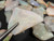 Australian Opal Uncut 315 Carat