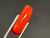 Red Coral 3.55 Carat