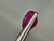 Ruby Polished 1.70 Carat