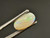 Solid Opal 1.30 Carat