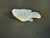 Opal Carving Fish 14.90 carat