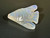 Opal Carving Fish 15.60 carat