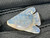 Opal Carving Fish 15.60 carat