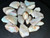 Australian Opal Uncut 300 Carat