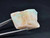 Australian Opal Uncut 132.80 Carat