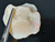Australian Opal Uncut 57.80 Carat