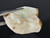 Australian Opal Uncut 57.80 Carat