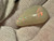 Coober Pedy Solid Opal 23.45 Carat