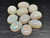 Multicolour Australian Coober Pedi Opal 10 Pc 8.50 Carat