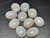 Multicolour Australian Coober Pedi Opal 10 Pc 8.50 Carat