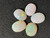 Multicolour Australian Coober Pedi Opal 5 Pc 3.90 Carat