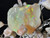 Australian Coober pedi Solid Multicolour Uncut  Opal 59.65 Carat