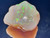 Australian Coober pedi Solid Multicolour Uncut  Opal 59.65 Carat