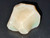Australian Coober pedi Solid Multicolour Uncut  Opal 59.65 Carat