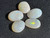 Multicolour Australian Coober Pedi Opal 5 Pc 3.85 Carat