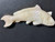 Australian Coober Pedi Solid Opal Carving Fish  67.30 Carat