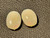 Multicolour Australian Coober Pedi Opal Pair 1.70 Carat