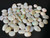 Multicolour Australian Coober Pedi Opal 68 Pc 24.35 Carat
