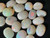 Multicolour Australian Coober Pedi Opal 20 Pc 13.20 Carat