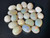 Multicolour Australian Coober Pedy Opal 21 Pc 14.40 Carat
