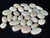 Multicolour Australian Coober Pedy Opal 31 Pc 24.35 Carat