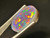 Australian Doublet Opal 7.05 Carat