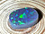 Australian Doublet Opal 5.45 Carat