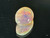 Multicolour Australian Coober Pedy Opal 1.30  Carat
