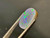 Australian Doublet Opal 4.60 Carat