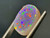Australian Doublet Opal 5.90  Carat