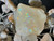 Australian Coober Pedy Solid Multicolour Uncut Opal 42.30 Carat