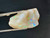 Australian Coober Pedy Solid Multicolour Uncut Opal 42.30 Carat