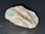 Australian Coober Pedy Solid Multicolour Uncut Opal 58.15 Carat