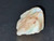 Australian Coober Pedy Solid Multicolour Uncut Opal 33.40 Carat
