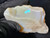 Australian Coober Pedy Solid Multicolour Uncut Opal 174.10 Carat