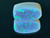 Australian Doublet Opal 6.14 Carat
