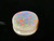 Australian Doublet Opal 6.30 Carat