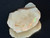 Australian Coober Pedy Multicolour Uncut Opal 22 Carat