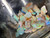 Australian Coober Pedy Uncut Rough Opal Chips 57.40 Carat