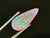 Australian Queensland Doublet Boulder Opal 1.55 Carat
